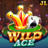 Wild Ace slot game a46